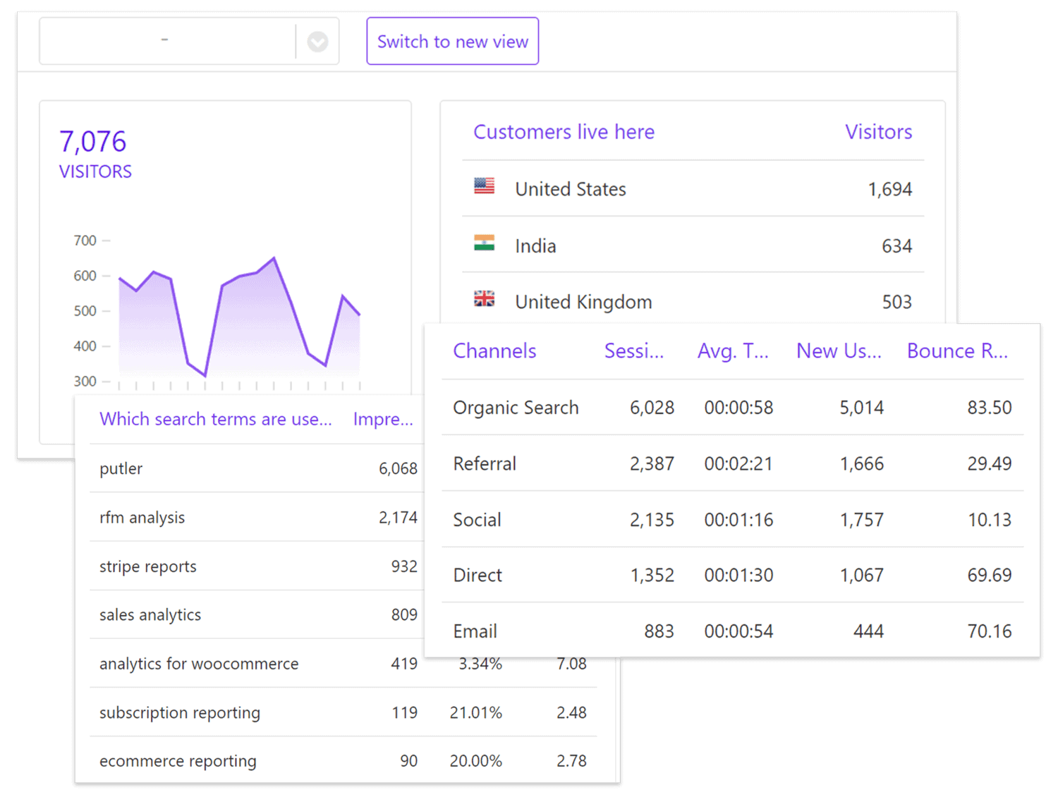 Audience Dashboard - Putler