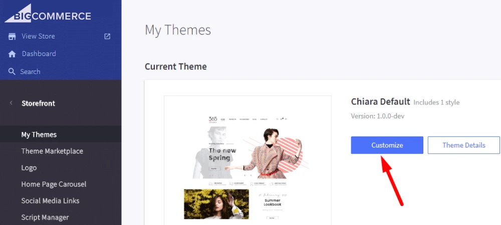Themes-templates-for-Bigcommerce-multistore
